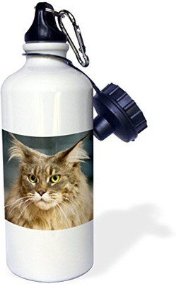 

3dRose 621 ml Water Purifier Bottle(White)