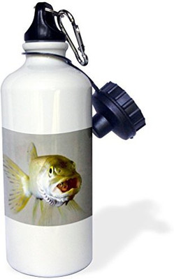 

3dRose 621 ml Water Purifier Bottle(White)