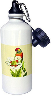

3dRose 621 ml Water Purifier Bottle(White)