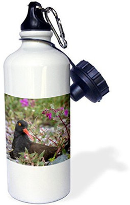 

3dRose 621 ml Water Purifier Bottle(White)