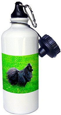 

3dRose 621 ml Water Purifier Bottle(White)