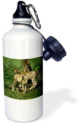 

3dRose 621 ml Water Purifier Bottle(White)