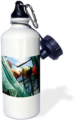 

3dRose 621 ml Water Purifier Bottle(White)