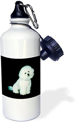 

3dRose 621 ml Water Purifier Bottle(White)