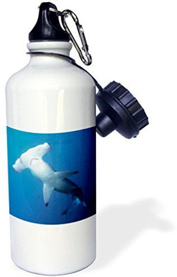 

3dRose 621 ml Water Purifier Bottle(White)