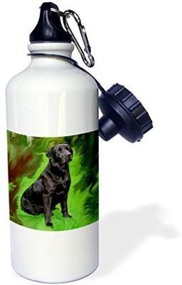 

3dRose 621 ml Water Purifier Bottle(White)