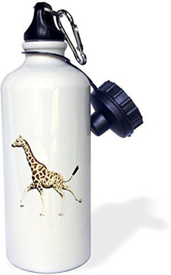 

3dRose 621 ml Water Purifier Bottle(White)