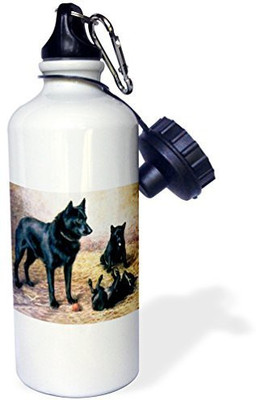 

3dRose 621 ml Water Purifier Bottle(White)
