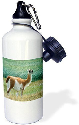 

3dRose 621 ml Water Purifier Bottle(White)