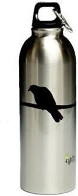

EarthLust 1000 ml Water Purifier Bottle(Silver)