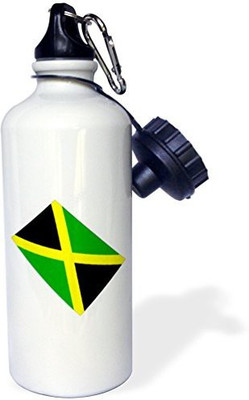 

3dRose 621 ml Water Purifier Bottle(White)