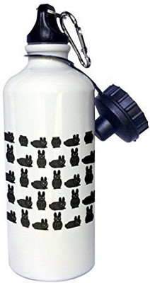 

3dRose 621 ml Water Purifier Bottle(White)