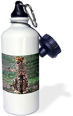 

3dRose 621 ml Water Purifier Bottle(White)