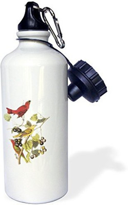 

3dRose 621 ml Water Purifier Bottle(White)