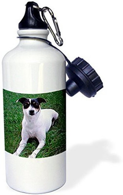 

3dRose 621 ml Water Purifier Bottle(White)