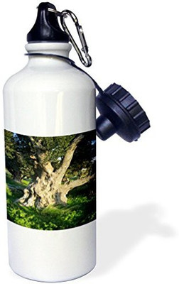 

3dRose 621 ml Water Purifier Bottle(White)