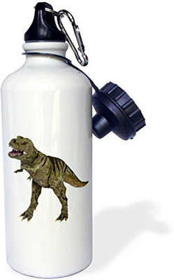 

3dRose 621 ml Water Purifier Bottle(White)