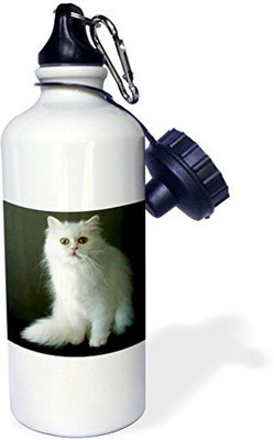 

3dRose 621 ml Water Purifier Bottle(White)