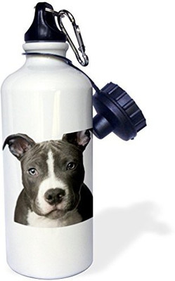 

3dRose 621 ml Water Purifier Bottle(White)