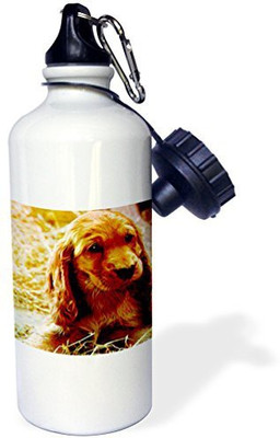 

3dRose 621 ml Water Purifier Bottle(White)