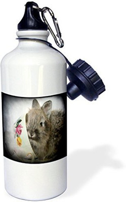 

3dRose 621 ml Water Purifier Bottle(White)