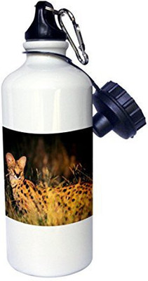 

3dRose 621 ml Water Purifier Bottle(White)