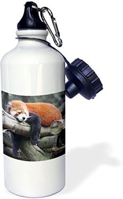

3dRose 621 ml Water Purifier Bottle(White)
