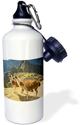 

3dRose 621 ml Water Purifier Bottle(White)