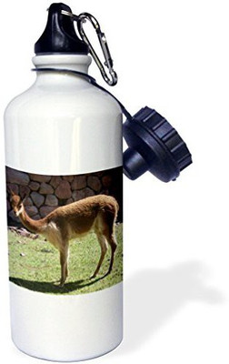 

3dRose 621 ml Water Purifier Bottle(White)