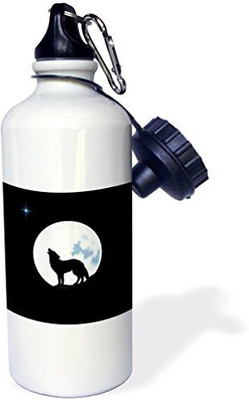 

3dRose 621 ml Water Purifier Bottle(White)