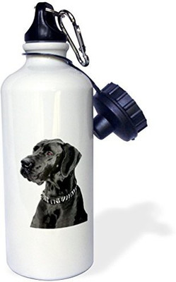 

3dRose 621 ml Water Purifier Bottle(White)