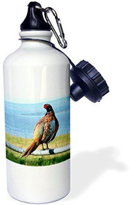 

3dRose 621 ml Water Purifier Bottle(White)