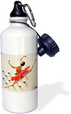 

3dRose 621 ml Water Purifier Bottle(White)