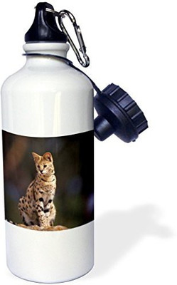 

3dRose 621 ml Water Purifier Bottle(White)