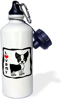 

3dRose 621 ml Water Purifier Bottle(White)