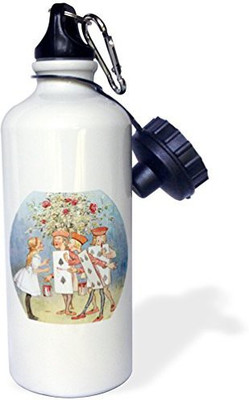 

3dRose 621 ml Water Purifier Bottle(White)