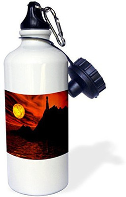 

3dRose 621 ml Water Purifier Bottle(White)