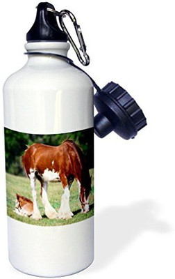 

3dRose 621 ml Water Purifier Bottle(White)