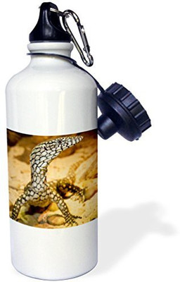 

3dRose 621 ml Water Purifier Bottle(White)