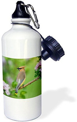 

3dRose 621 ml Water Purifier Bottle(White)