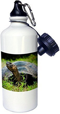 

3dRose 621 ml Water Purifier Bottle(White)