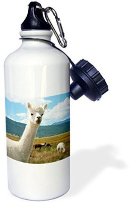 

3dRose 621 ml Water Purifier Bottle(White)