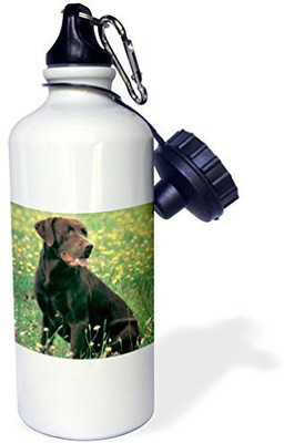 

3dRose 621 ml Water Purifier Bottle(White)