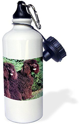 

3dRose 621 ml Water Purifier Bottle(White)
