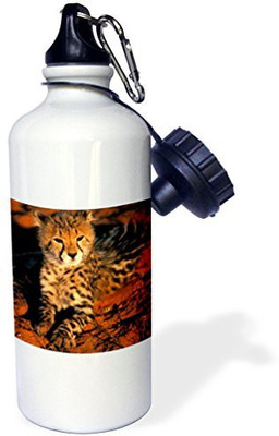 

3dRose 621 ml Water Purifier Bottle(White)