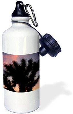 

3dRose 621 ml Water Purifier Bottle(White)