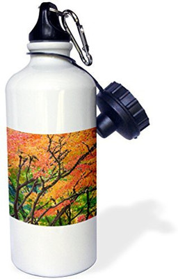 

3dRose 621 ml Water Purifier Bottle(White)