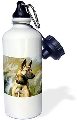 

3dRose 621 ml Water Purifier Bottle(White)