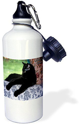 

3dRose 621 ml Water Purifier Bottle(White)
