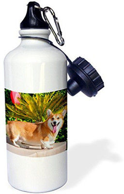 

3dRose 621 ml Water Purifier Bottle(White)